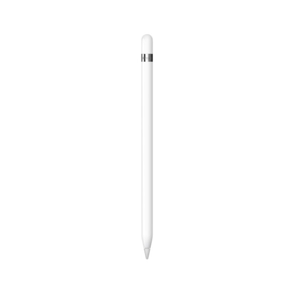 Apple Pencil (1st generation), USB-C to Apple Pencil Adapter, Lightning Adapter, and extra tip.